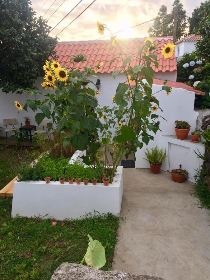The Azores Homestead - Terceira Santa Barbara  Exterior photo